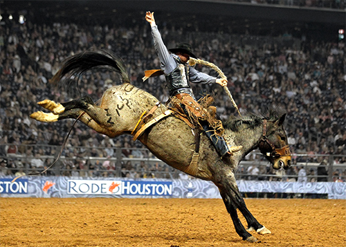 Houston Rodeo Pictures 43